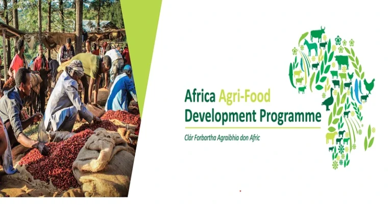 Africa Agri‑Food Development Programme 2025-2026