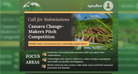 Cassava Changemakers Pitch Competition 2025