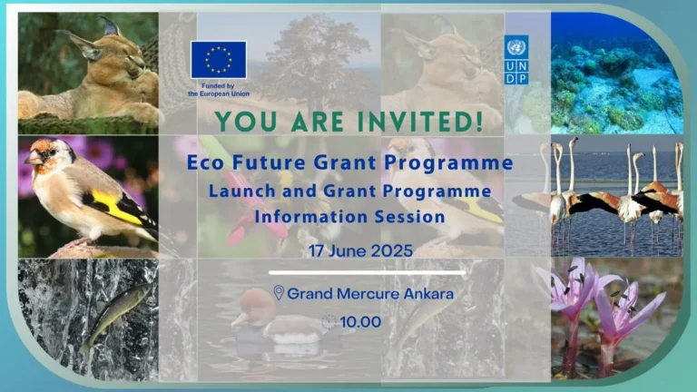 Eco Future Grant Programme 2025