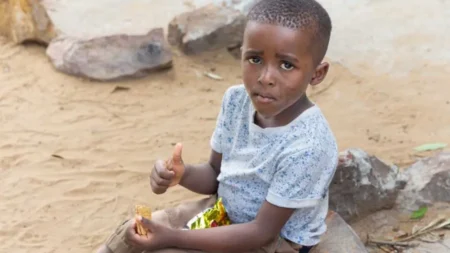 Open Call for NGOs to Implement Direct Actions Against Child Labour in Nigeria’s Cocoa and ASGM Sectors