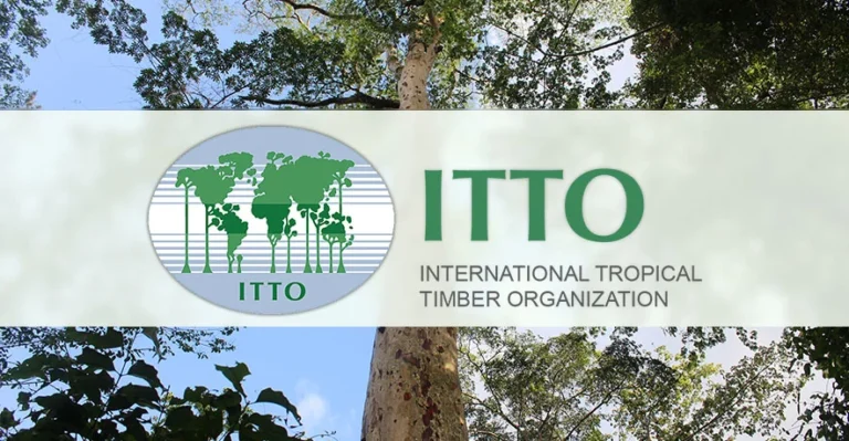 ITTO Fellowship Programme 2025