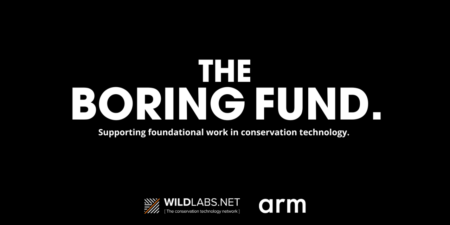 The Boring Fund 2025