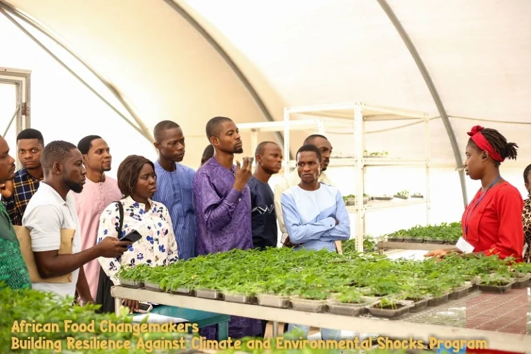 Building Resilience Against Climate and Environmental Shocks Program