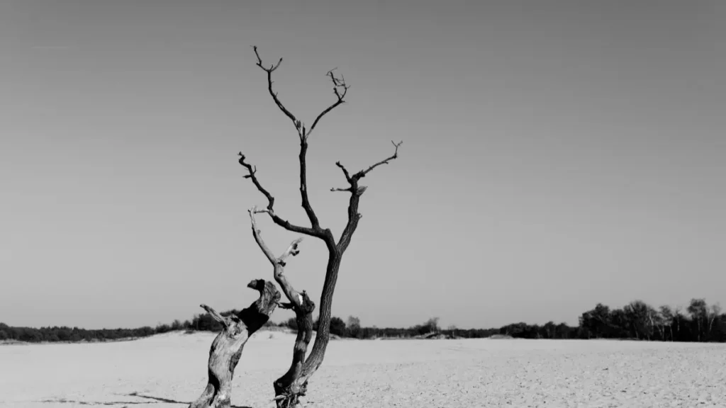 Climate Change Adaptation Funding Priorities