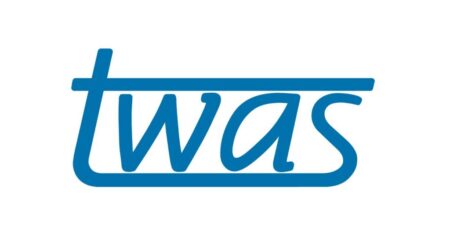 TWAS‑SISSA‑Lincei Research Cooperation Visits Programme 2025-2026