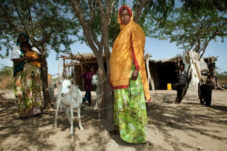 Somalia Women’s Market Access Innovation Challenge 2025
