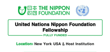 United Nations – Nippon Foundation Fellowship 2026