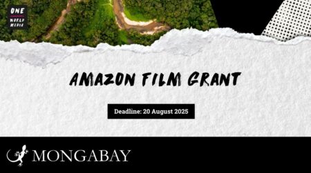 Amazon Film Grant 2025