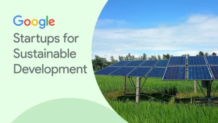 Startups for Sustainable Development Program 2025