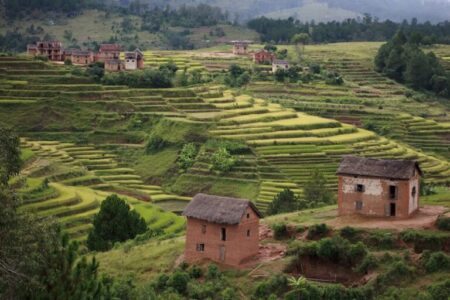 Building Resilience in Agriculture