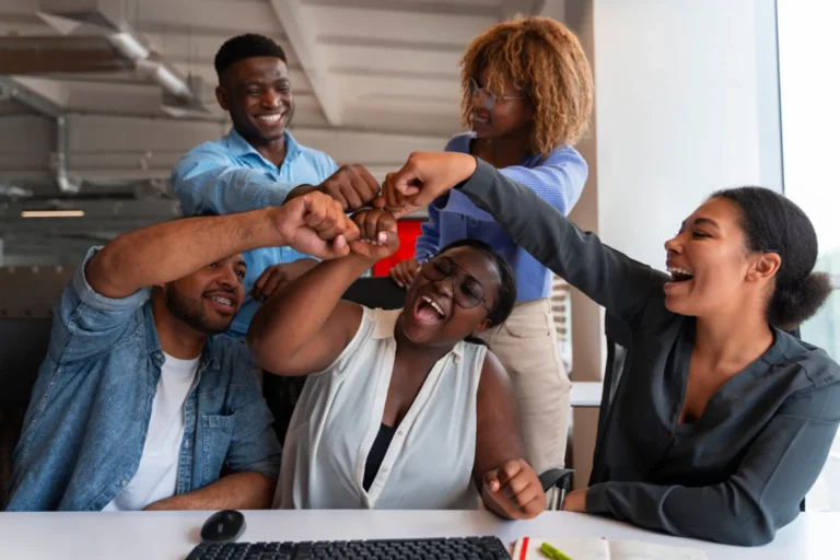 Health Equity Accelerator Leadership Fellowship 2025