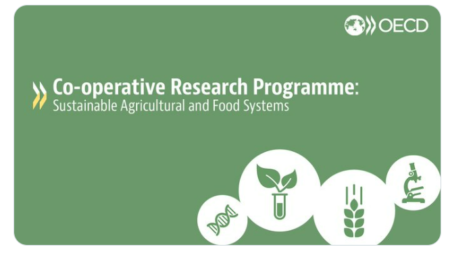 OECD CRP Research Fellowship 2026