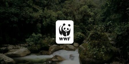 WWF Gustavo Fonseca Leadership Program 2026–2027