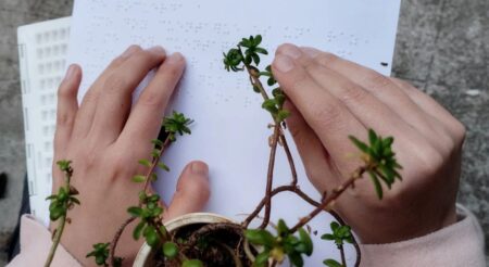 Wild Wonder Micro Grant Program 2025