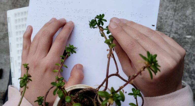 Wild Wonder Micro Grant Program 2025