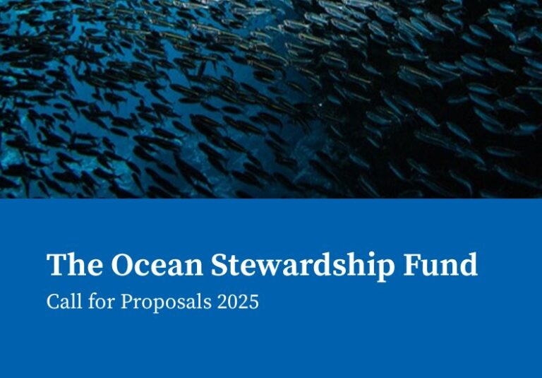 MSC Ocean Stewardship Fund 2025