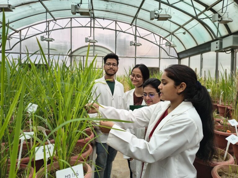 ICGEB Arturo Falaschi PhD Fellowships 2026