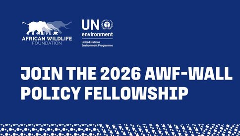 AWF-Wall Leadership & Management Fellowship 2026 AWF-Wall Leadership & Management Fellowship 2026