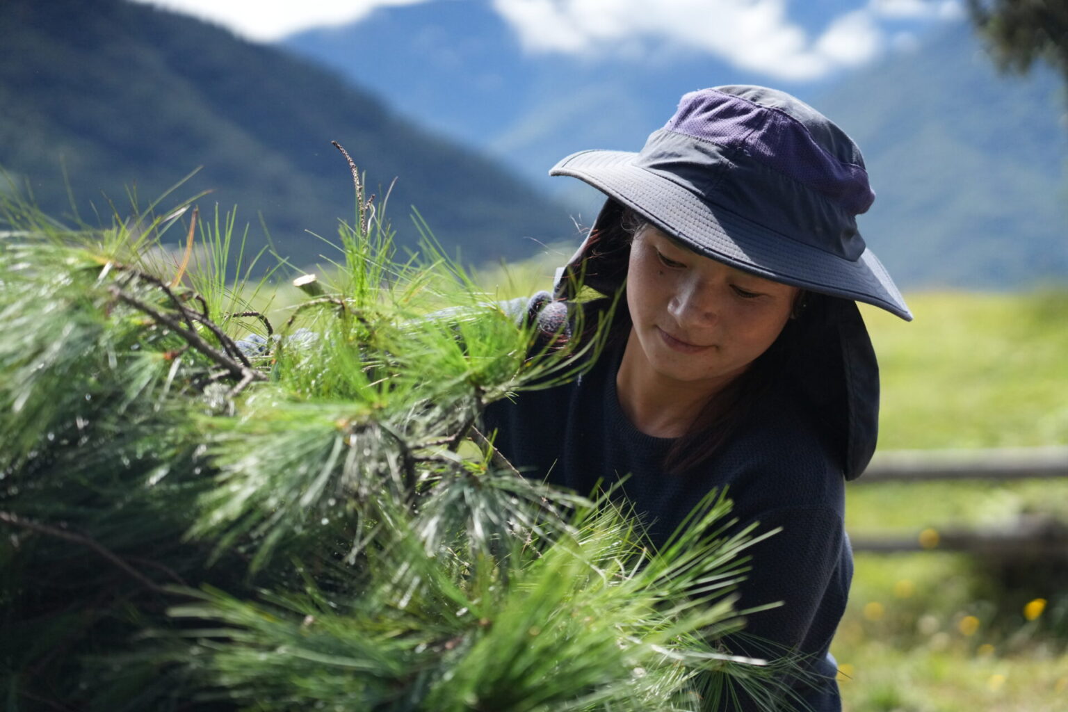 Hindu Kush Himalaya Innovation Challenge for Entrepreneurs 2026