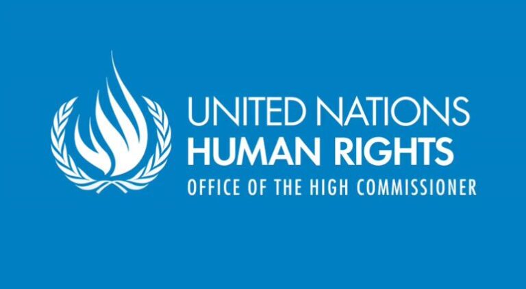 UN OHCHR Minorities Fellowship Programme 2026