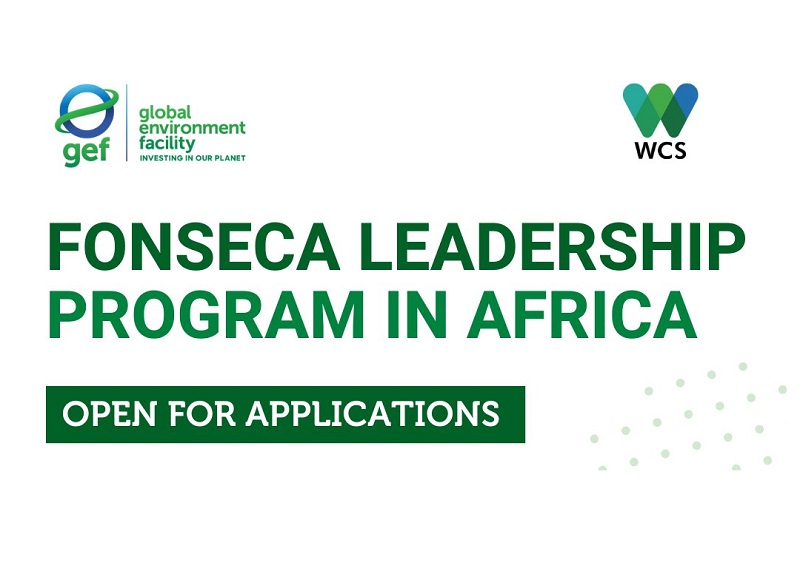 Fonseca Leadership Program in Africa 2026 Fonseca Leadership Program in Africa 2026