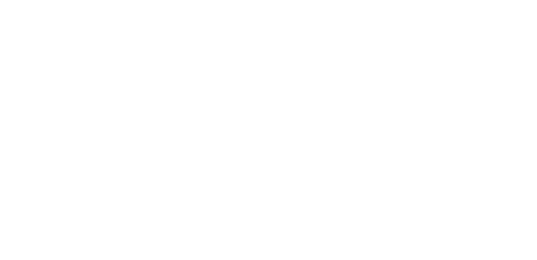 DAWN Fellowship Programme 2026 for Young Women Feminists from the Global South DAWN Fellowship Programme 2026 for Young Women Feminists from the Global South