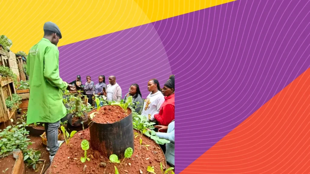 Youth-Led Solutions Open Call (Youth Empowerment Fund)