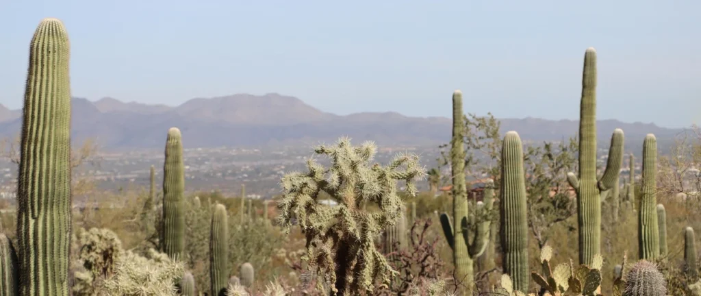 Biodiversity Media Grants 2026: Funding Opportunity for Journalism Projects on Biodiversity Biodiversity Media Grants 2026