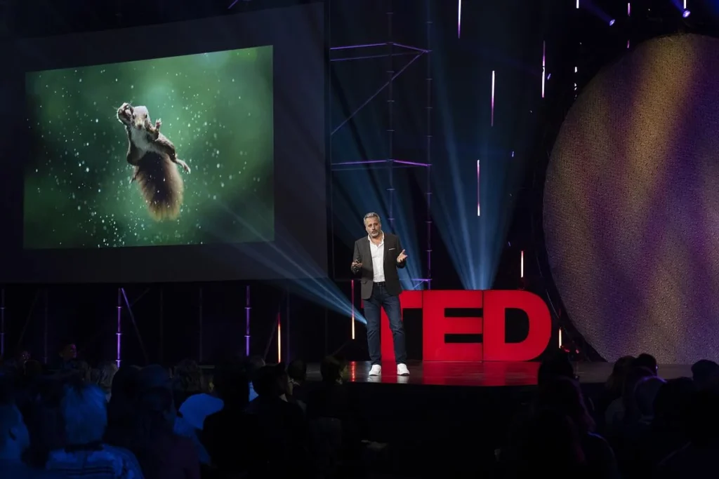 Nikon Comedy Wildlife Awards 2026